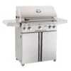 American Outdoor Grill T-Series 30 Inch Gas Grill On Cart