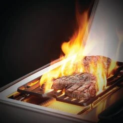 Napoleon RSE525RSIBSS Rogue SE 525 Gas Grill On Cart With Infrared Side And Rear Burners, 28.75-Inches -Barbecue Supplies Store rse625rsibpss feat d 07 20