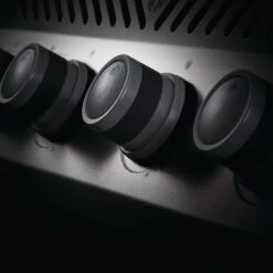 Napoleon RXT425SS Rogue XT 425 Gas Grill On Cart, 23.75-Inches -Barbecue Supplies Store rxt ss feature 3 01 20